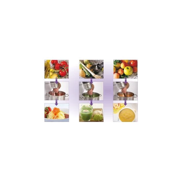 Mixeur Plongeant MP 450 Ultra Robot Coupe 4 Mixeur Plongeant MP 450 Ultra Robot Coupe – Image 2